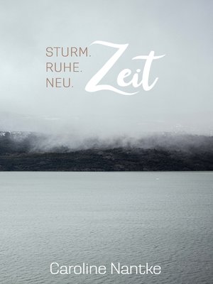 cover image of Sturm. Ruhe. Neu. ....Zeit